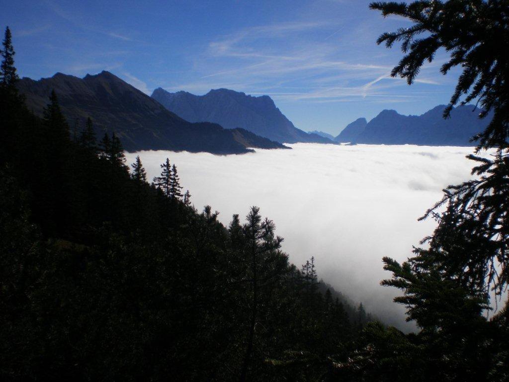 فندق Alpenhof "Alt Laehn" المظهر الخارجي الصورة